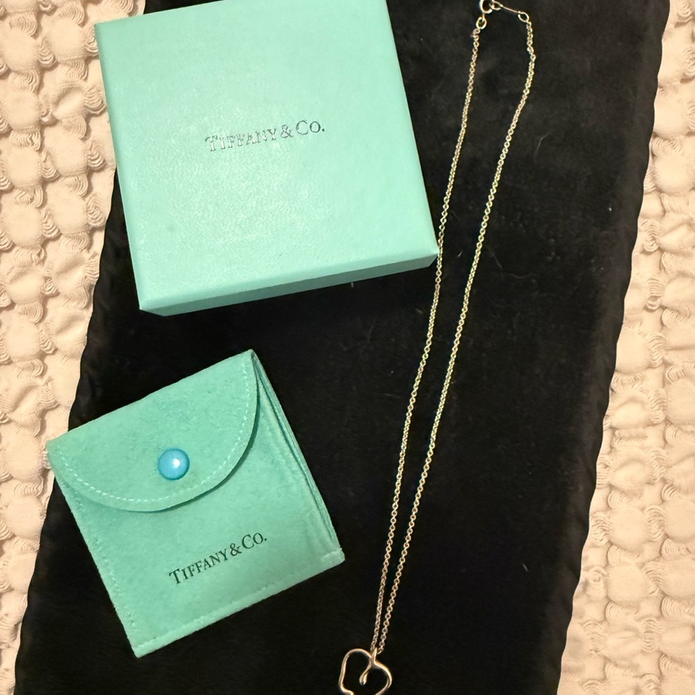 Tiffany & Co. sterling silver apple pendant necklace